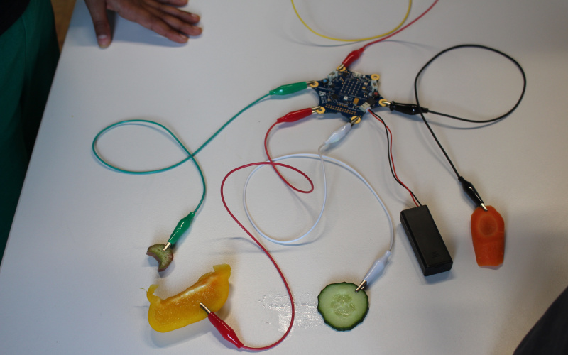 We see a Calliope mini from which several cables lead away. To the ends of the latter are various vegetables connected.  